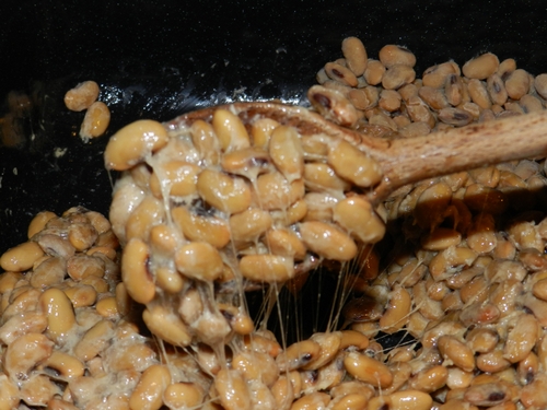 Natto-02