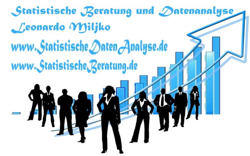 Statistische Beratung und Datenanalyse_Leonardo Miljko_A