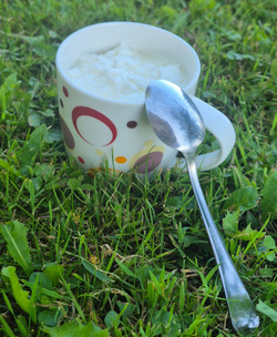 SIBO jogurt_mali