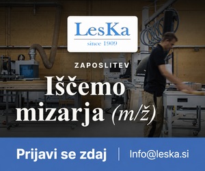banner-leska